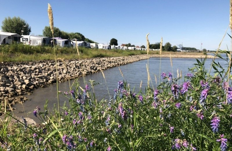 Wandelen en fietsen vanaf Camping Waalstrand