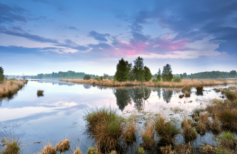 Wandelen en fietsen vanaf Camping De Berken